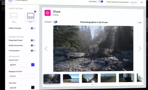 Frame.io Reel player