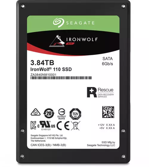 Seagate IronWolf 110 