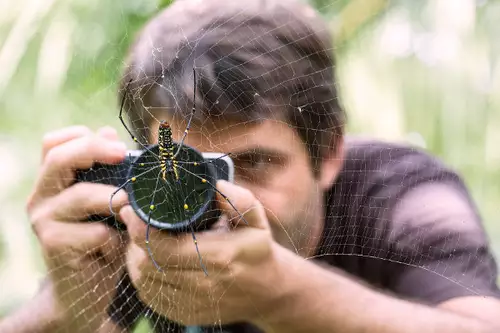 Schätze Südostasiens -- mit der Blackmagic Pocket ins ARTE-Programm : spinne