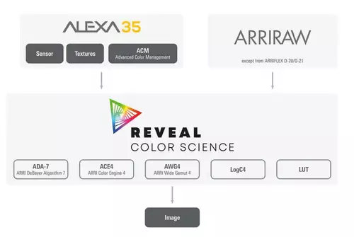ARRI ALEXA 35 in der Praxis: 17 Stops Dynamikumfang, Reveal Colorscience, ARRI RAW, 120 fps uvm. : ARRI ALEXA 35 COlorScience