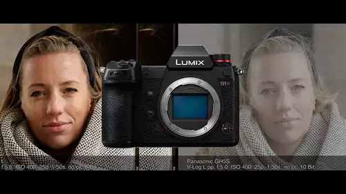 Panasonic S1: Hauttne im 10 Bit HLG, Flat und Standard Bildprofil - inkl. Vergleich mit GH5S