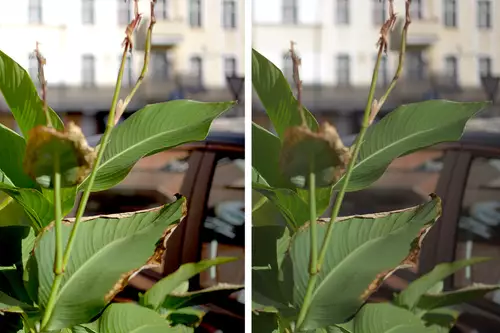 Links ein Sensor mit geringem Dynamik Range, rechts ein  Sensor mit groem Dynamic Range. 