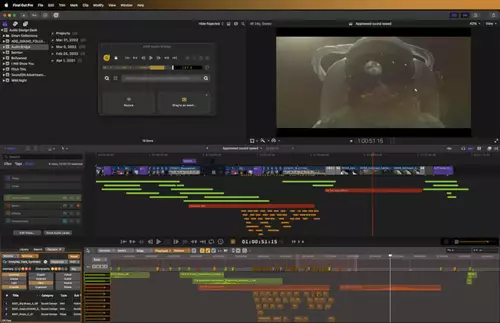 Audio Design Desk: Bessere Integration in Final Cut Pro per Audio Bridge Erweiterung