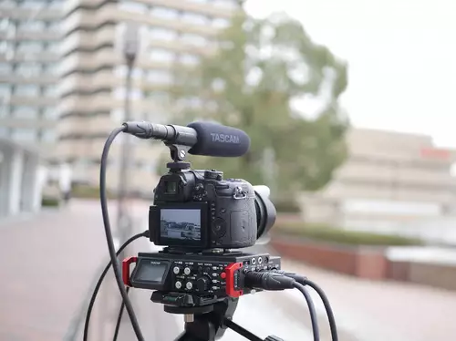 Tascam TM-200SG: Kompaktes XLR Shotgun-Mikrofon fr Filmer
