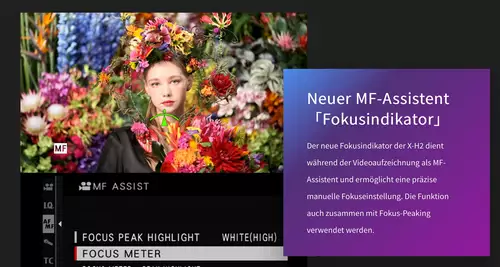 Fujifilm X-H2 im Praxistest: Gnstigere X-H2S-Alternative mit starker Videoperformance : Fokusindikator
