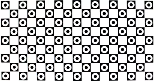 Canon EOS 1DX : verzeichnung 35mm zeiss