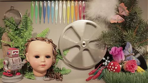 Canon EOS 1DX : 1200LUX 1 50s 