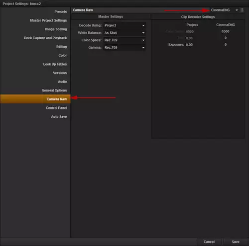 Black Magic Cinema Camera - CinemaDNG RAW-Import in DaVinci 9 : CameraRawpaneloftheProjectSettings