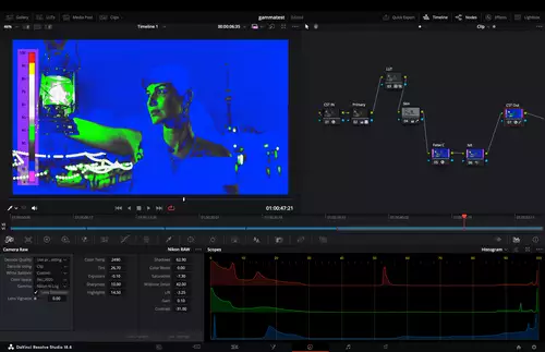 Nikon Z8 RAW Grading-Wettbewerb - der Gewinnerbeitrag und wie das Grading umgesetzt wurde : FalseColor