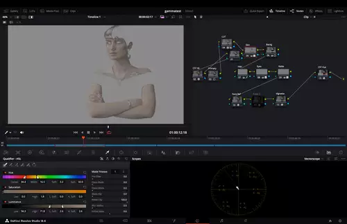 Nikon Z8 RAW Grading-Wettbewerb - der Gewinnerbeitrag und wie das Grading umgesetzt wurde : Skintones