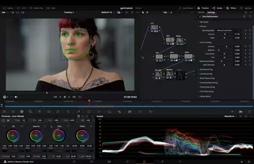 Nikon Z8 RAW Grading-Wettbewerb - der Gewinnerbeitrag und wie das Grading umgesetzt wurde : FaceRefinement