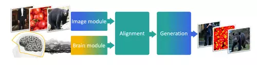 Meta&s AI model for real-time decoding of images from brain activity.