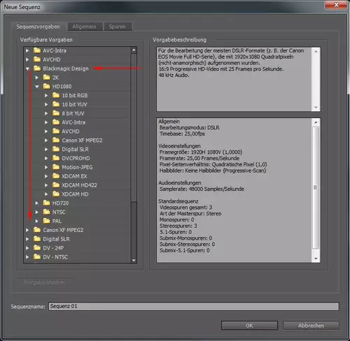 Die Intensity unterstützt nun auch zahlreiche Presets mit gängigen Codecs.