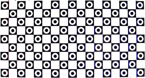 Objektiv-Verzeichnung