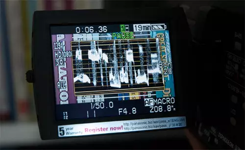 Die Panasonic AG-HMC151 verfügt über den gleichen Waveform-Monitor wie die AG-HPX171E - hier das 171er Display