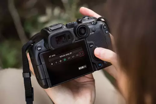 Canon EOS R7 in der Praxis - die neue Preis-Leistungsreferenz im S35-Segment?  : CanonEOSR7 Back