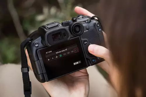 Canon EOS R7 in der Praxis - die neue Preis-Leistungsreferenz im S35-Segment? : CanonEOSR7 Back