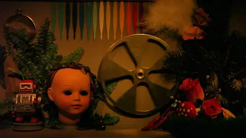 Canon EOS 5D MKII, Autogain, 1/60 Sekunde, Blende offen