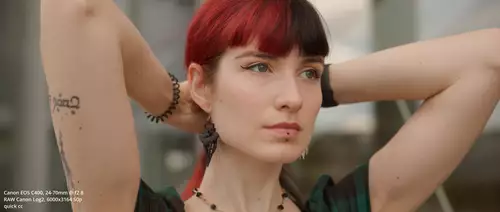 Praxistest Cine-Cam Canon EOS C400: Lowlight-Monster Dank Triple Base ISO und vielseitigste Cinema EOS? : C400Skin 1