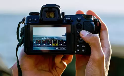 Nikon Imaging Cloud color profiles
