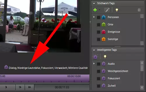 Erstaunlich: Der Auto-Tagger erkennt Sprache, Verwackelung und andere Attribute einer Szene automatisch.