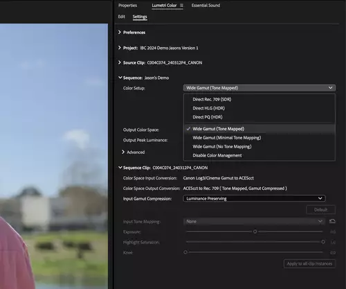 Neue Funktionen in Adobe Premiere Pro und After Effects zur IBC 2024