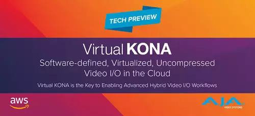AJA KONA IP25