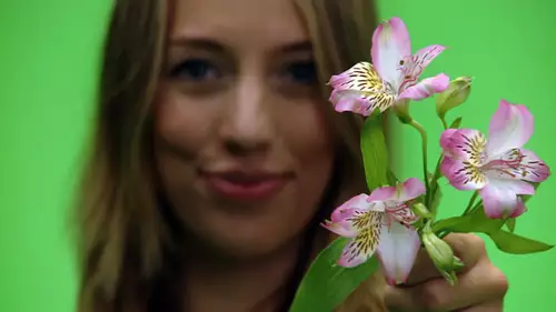 Im Greenscreenstudio mit der Sony PMW EX3 : Blume Mov