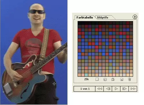 Bei 8 Bit Farbtiefe  kann jedes Pixel nur eine von 256 verschiedenen, vordefinierten Farben aus der Farbpalette enthalten. 