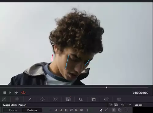 KI hilft mit - Die Magic Mask in Davinci Resolve 18 : strokes