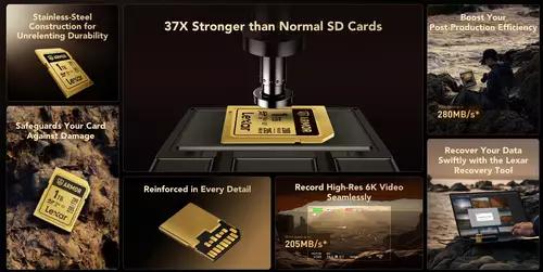Lexar Armor Gold SDXC-Speicherkarten