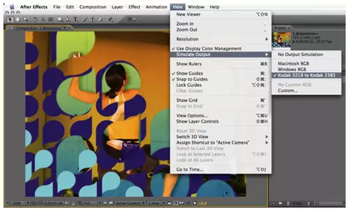 Das neue Adobe After Effects CS 3 Professional : colorman