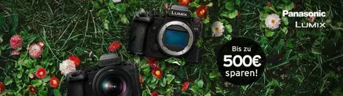 Bis zu 500 Euro Cashback von Canon, Sony und Panasonic fr Kameras und Objektive