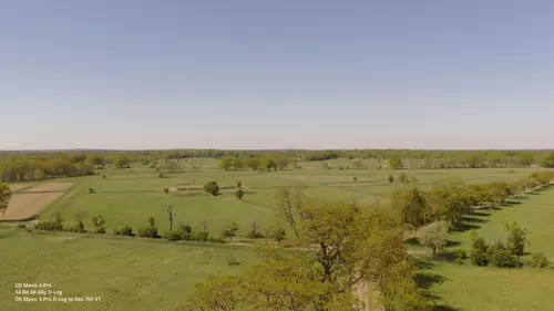 etwas schrille Grüntöne bei Nutzung der offiziellen DJI Mavic 4 Pro 709 LUT