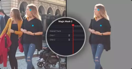 Blackmagic DaVinci Resolve 20 Magic Mask