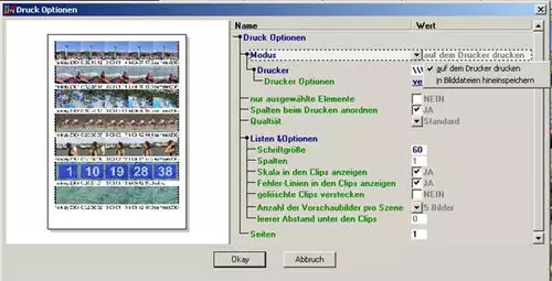 Abbildung 5: ber die Druckfunktion knnen Sie den Inhalt eines DV-Tapes komfortabel ausdrucken.