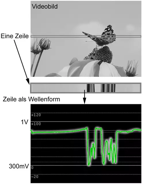 Abbildung 1: Aus dem Helligkeitssignal des Videobildes wird eine Zeile auf dem Waveform-Monitor angezeigt