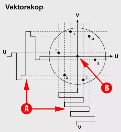 Ein Vektorskop stellt das U- und das V-Signal um 90 Grad versetzt dar.