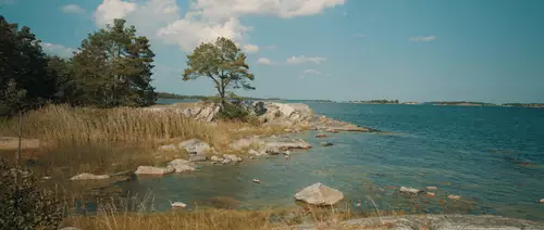  Sony FX2 Filmstill inkl. Lut