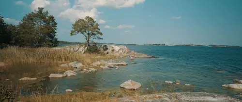  Sony FX2 Moviestill inkl. Lut