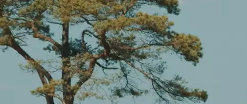 10-fach Zoom-Cropp Filmmaterial 