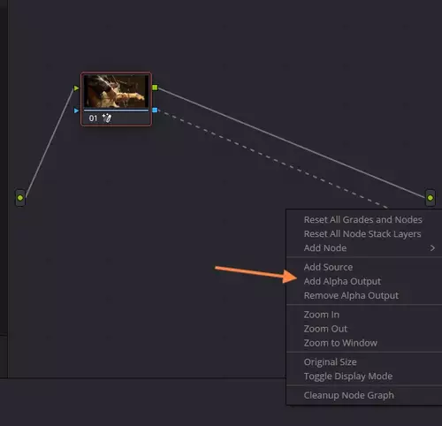 Maskieren mit KI DaVinci Resolve 20 Workshop - Mit der Magic Mask v2 Objekte automatisch freistellen : Alpha