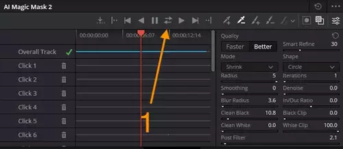 Maskieren mit KI DaVinci Resolve 20 Workshop - Mit der Magic Mask v2 Objekte automatisch freistellen : parameter