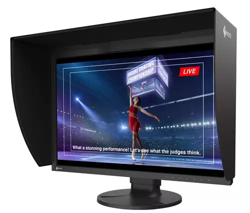 EIZO ColorEdge CG2400SV 