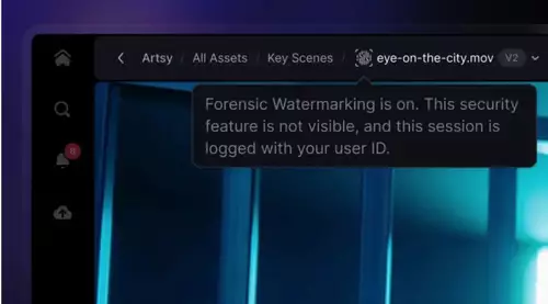 Forensic Watermark 