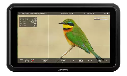 Atomos Shinobi II  bewhrter, leichter Monitor im slashCAM Interview Rig