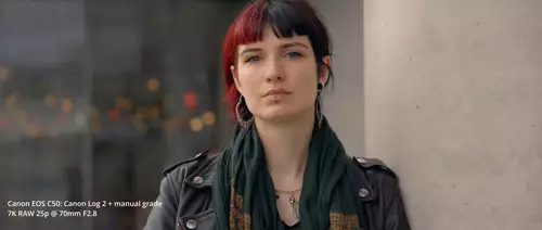 Entry-Level Cinema Kamera Canon EOS C50 im Praxistest: Kompaktes Arbeitstier mit 7K 50p Raw -  die neue FX3 Konkurrenz : C50Skin 2