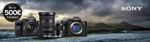 Bis zu 1.000 Euro sparen: Cashbacks auf Kameras von Sony, Nikon, Canon und Panasonic