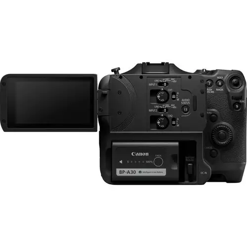 Canon EOS R5 versus R5 C versus C70 versus R3 - welche Kamera wofr? : EosC70Akku
