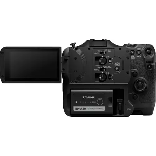 Canon EOS R5 versus R5 C versus C70 versus R3 - welche Kamera wofür? : EosC70Akku